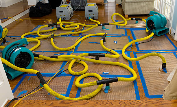 Professional Water Damage Restoration technician working in Hyde Park, UT